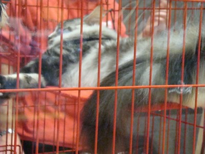 20121021_48 (Expo)